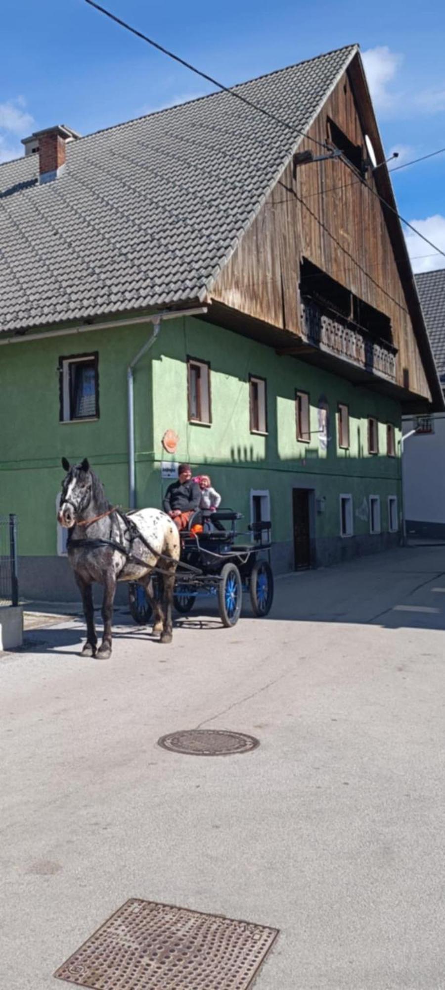 Sigma House Hostel Mojstrana Exterior photo